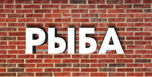 РыбаТекст помогает животным